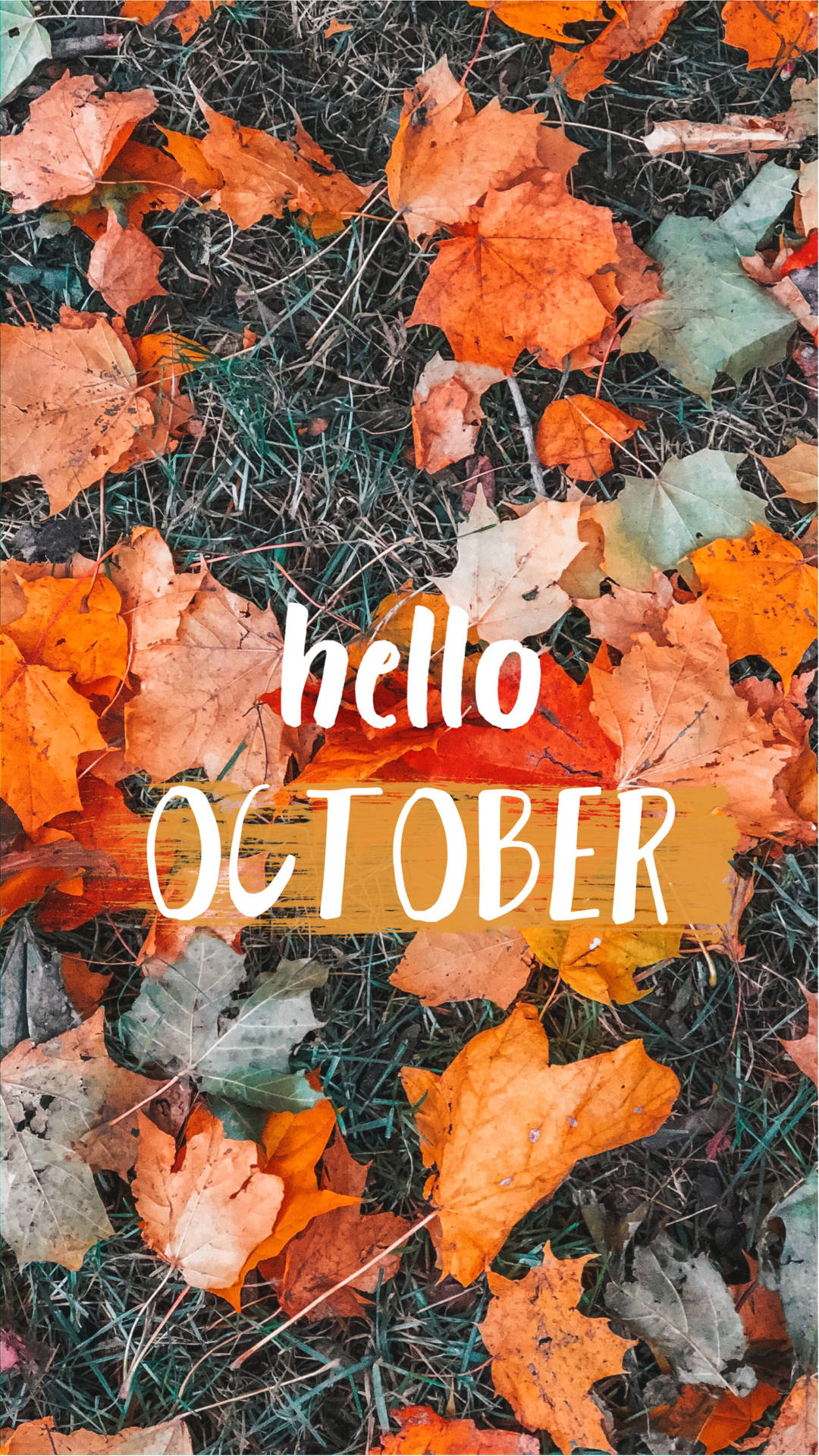 Flat Lay Dried Leaves Hello October Wallpaper