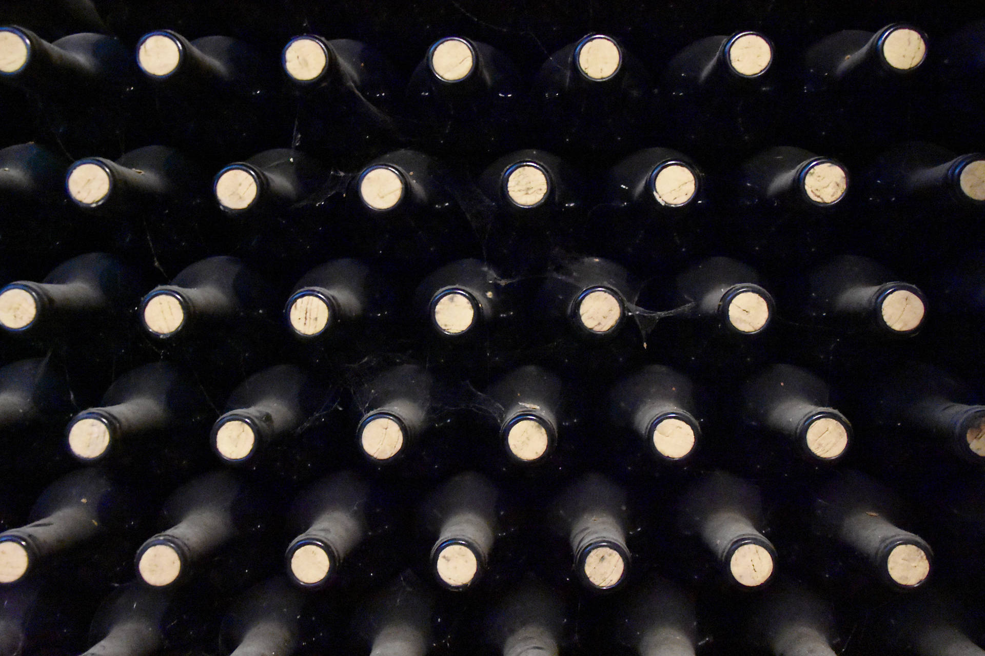 Flat Lay Wine Bottles Wallpaper