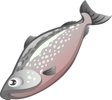 Flatfish Illustrationon Black Background PNG