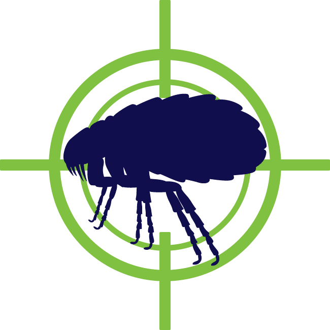 Flea Target Silhouette PNG