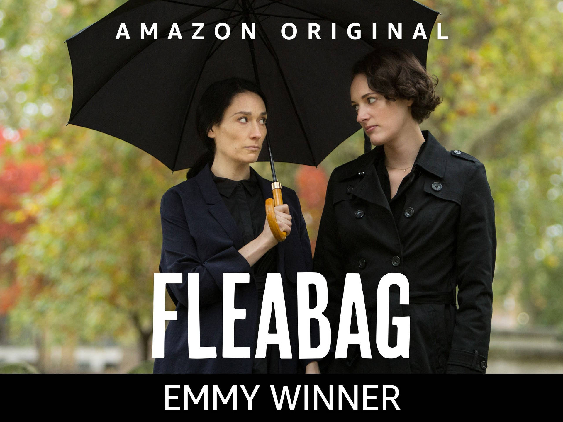 Fleabag Amazon Original Background