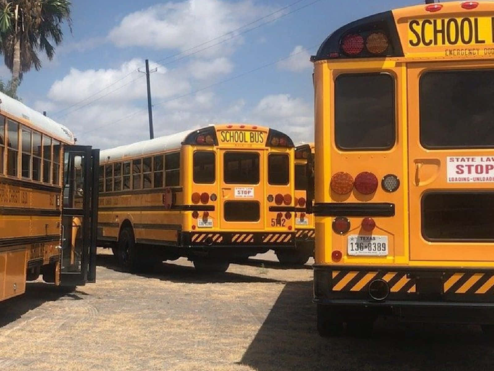 Fleet Of School Bus Back View Background