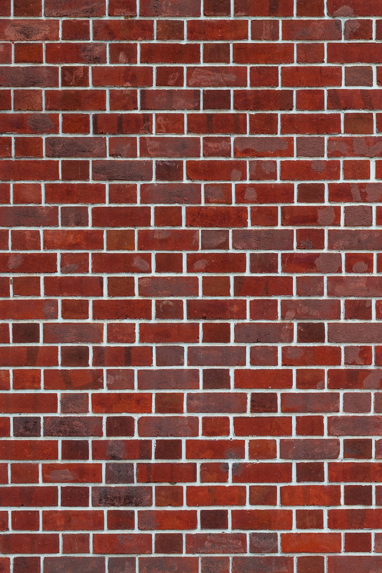 Flemish Brick Wall Wallpaper