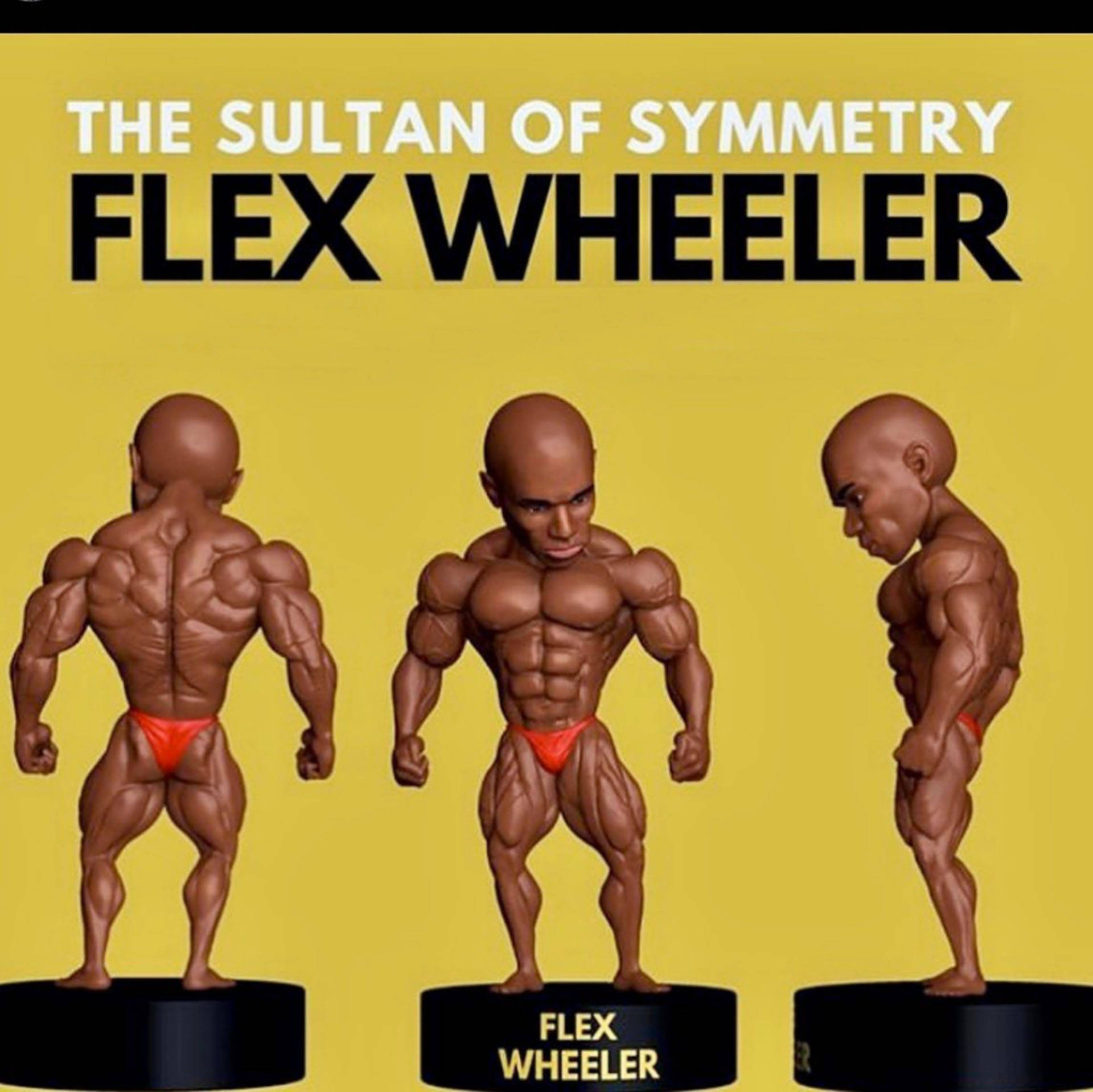 Flex Wheeler Figures Wallpaper