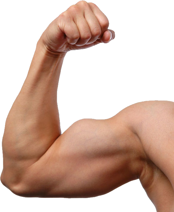 Flexed Bicep Muscular Arm.png PNG