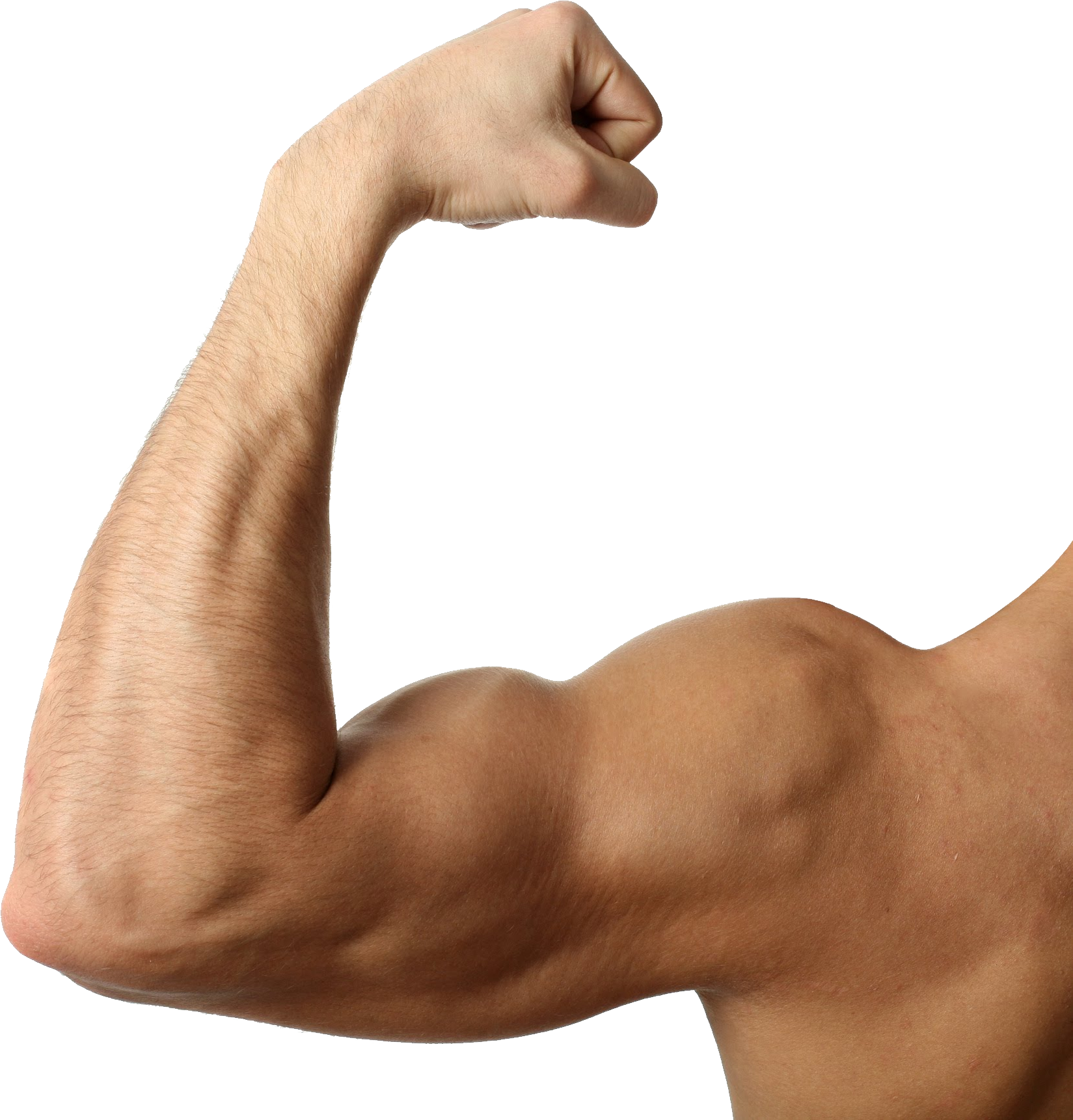 Flexed Bicep Muscular Arm PNG