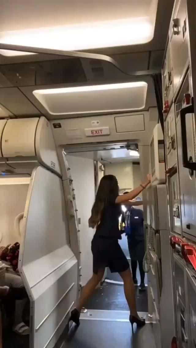 Female Flight Attendant Picture