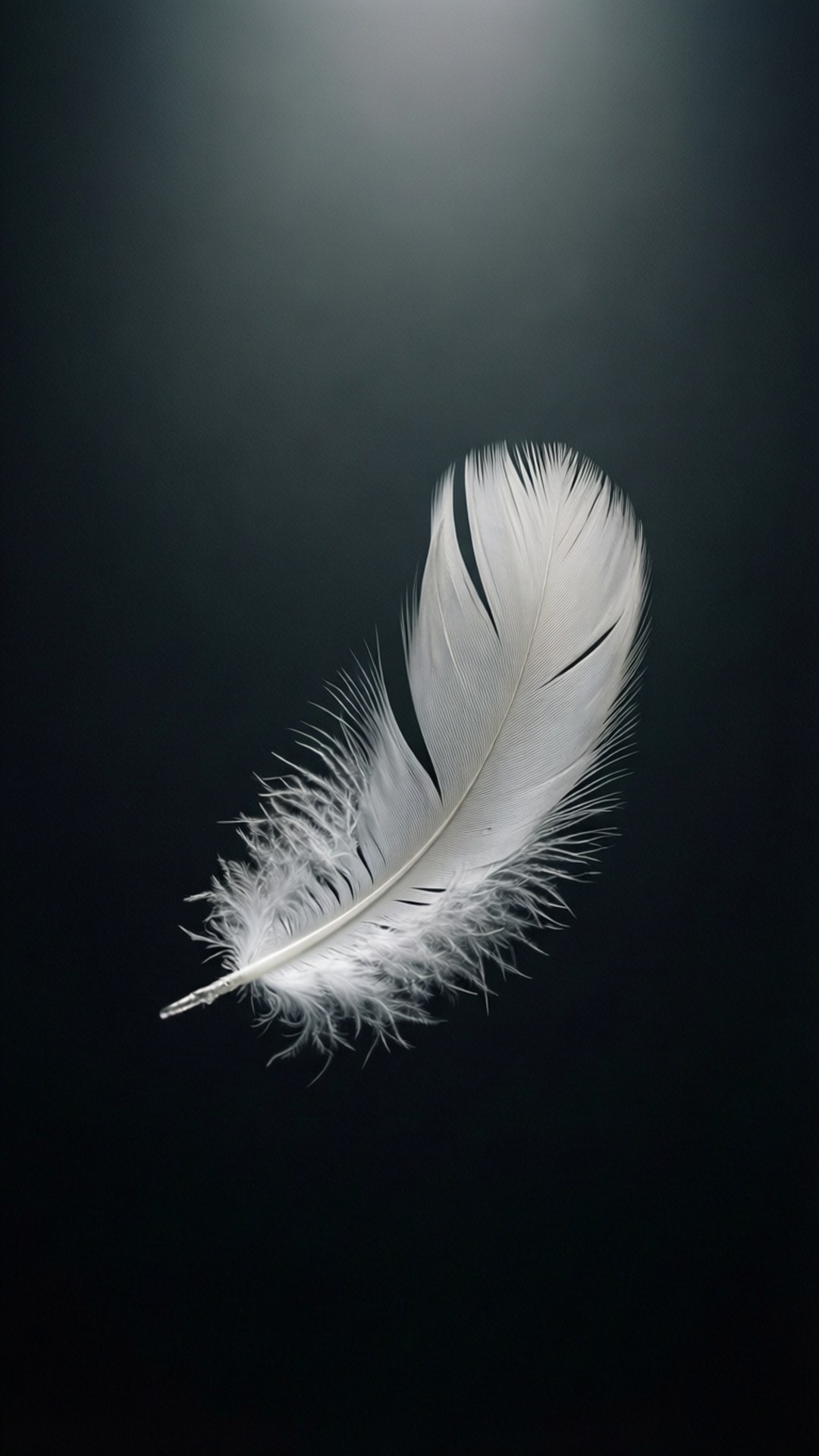 Piuma Fluttuante Sfondi