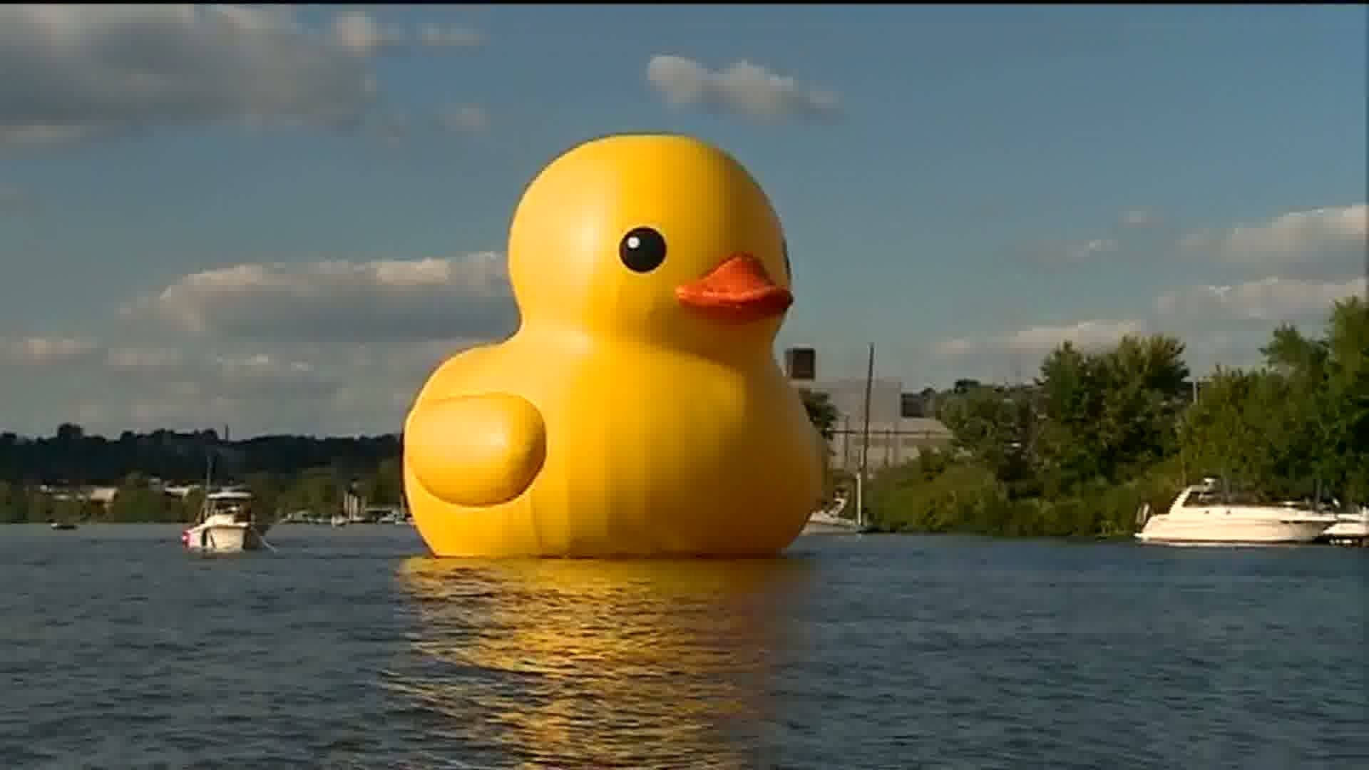 Floating Giant Rubber Duck