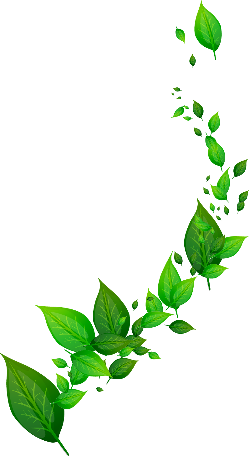 Floating Green Leaves Design PNG