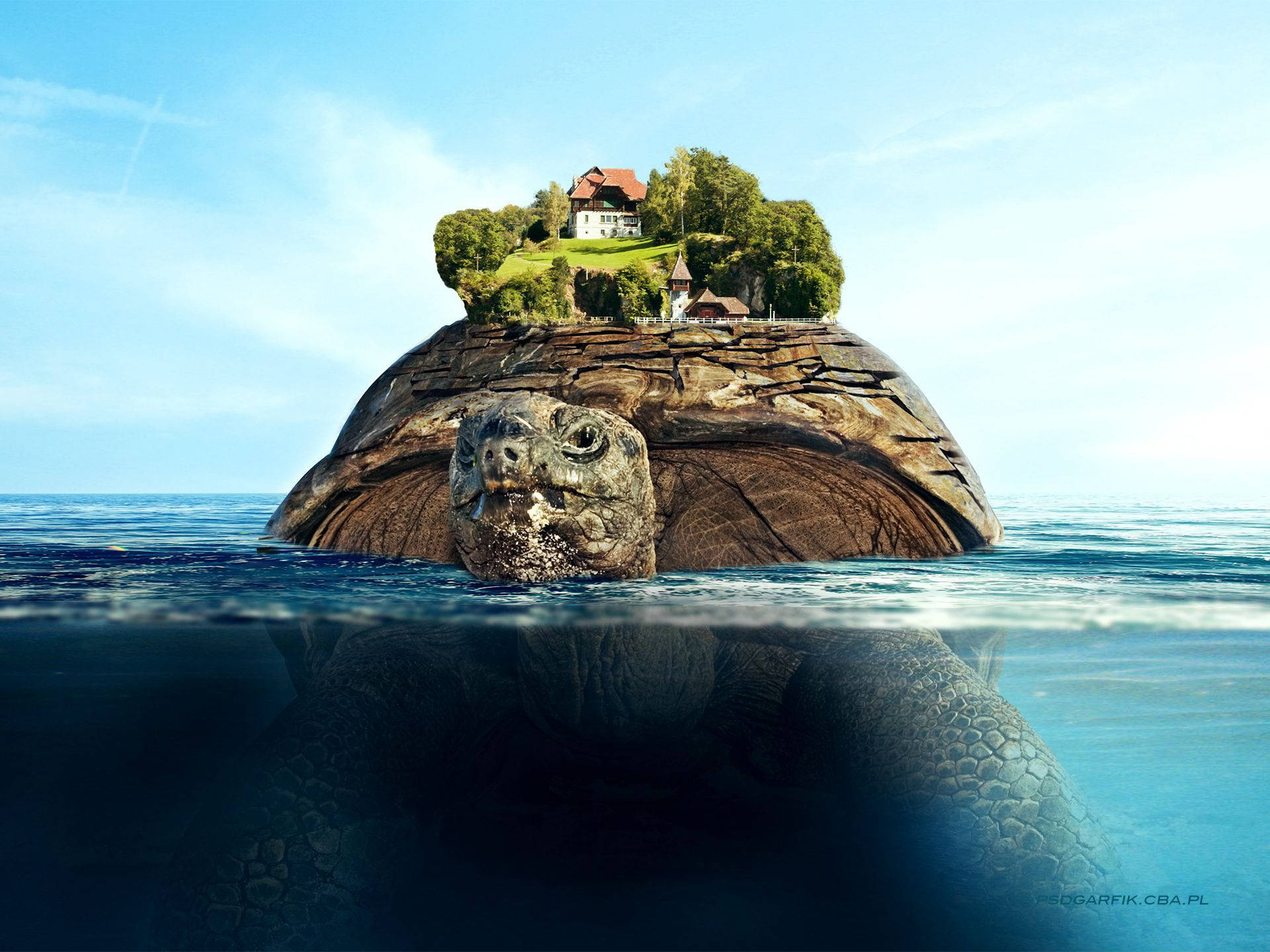 Floating Island On A Tortoise Back Background