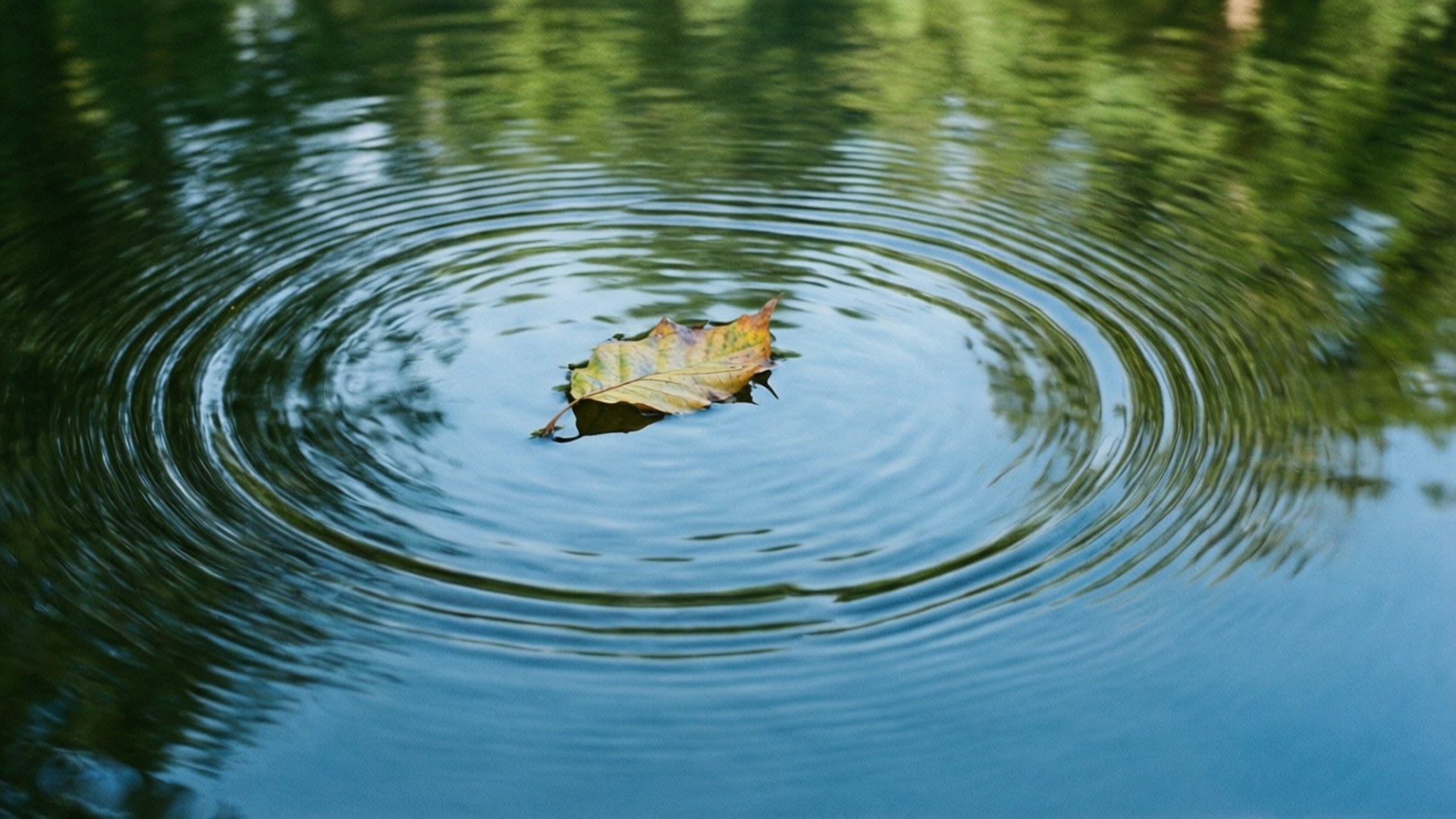 Floating Leaf Achtergronden