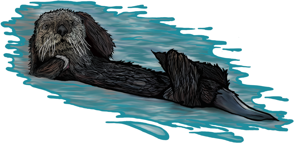 Floating Otter Illustration PNG