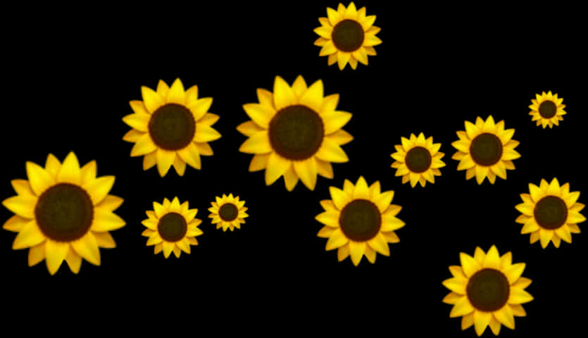 Floating Sunflowerson Black Background PNG