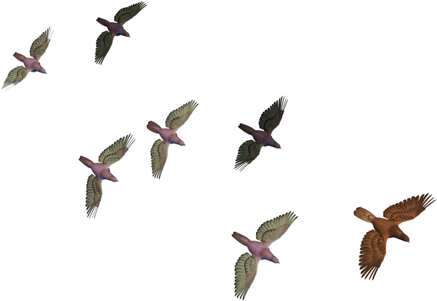 Flock_of_ Birds_in_ Flight PNG