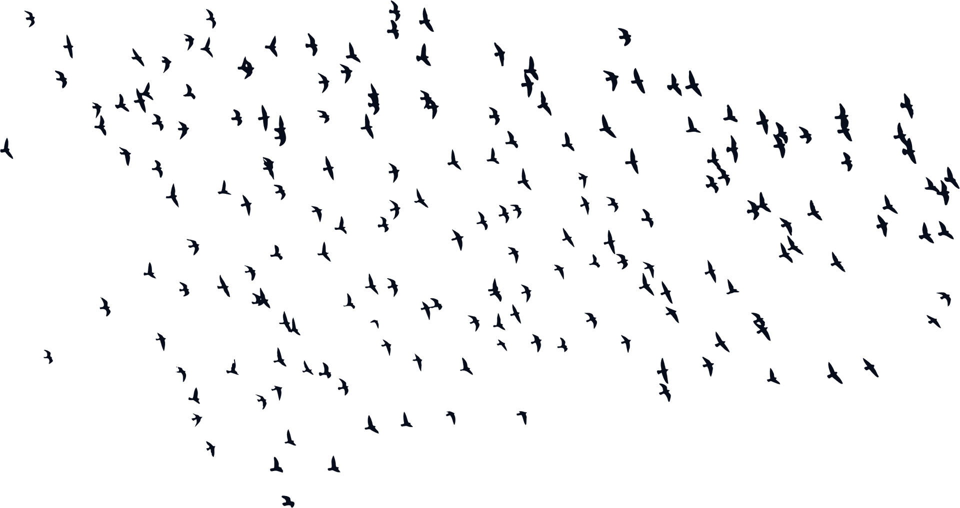 Flock_of_ Birds_in_ Flight_ Silhouette PNG