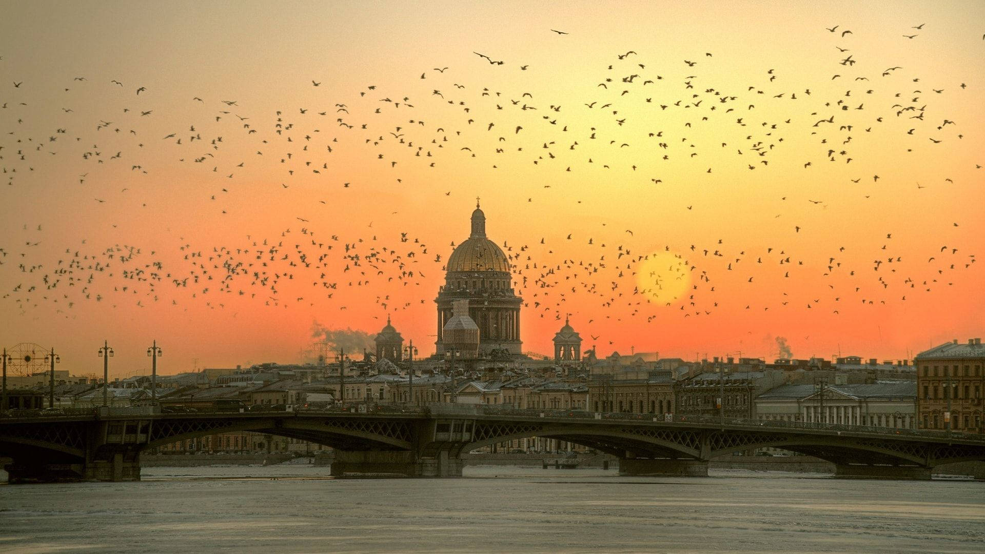 Flocks Paradise In Saint Petersburg Wallpaper