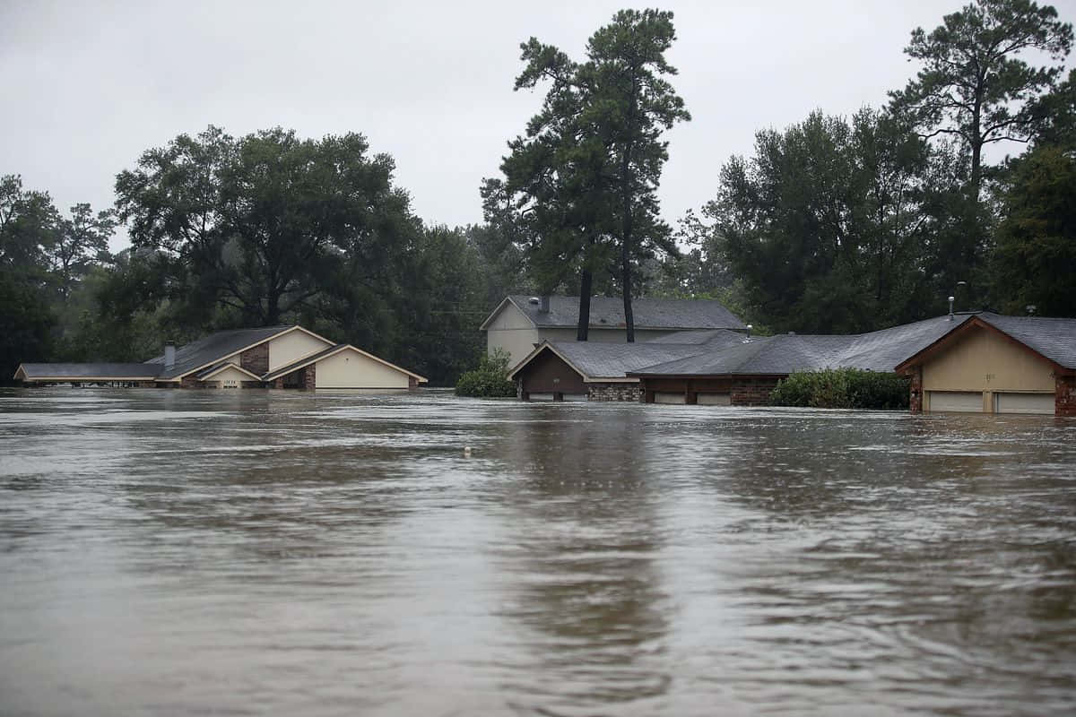 A Flooded Street With Houses And Trees