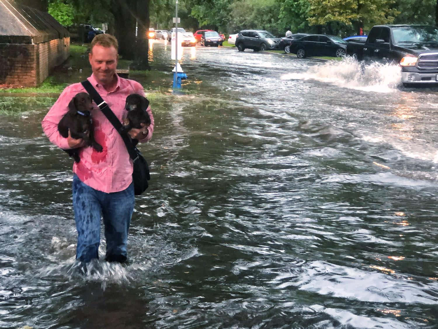 A Man Holding His Dog In A Flooded Street