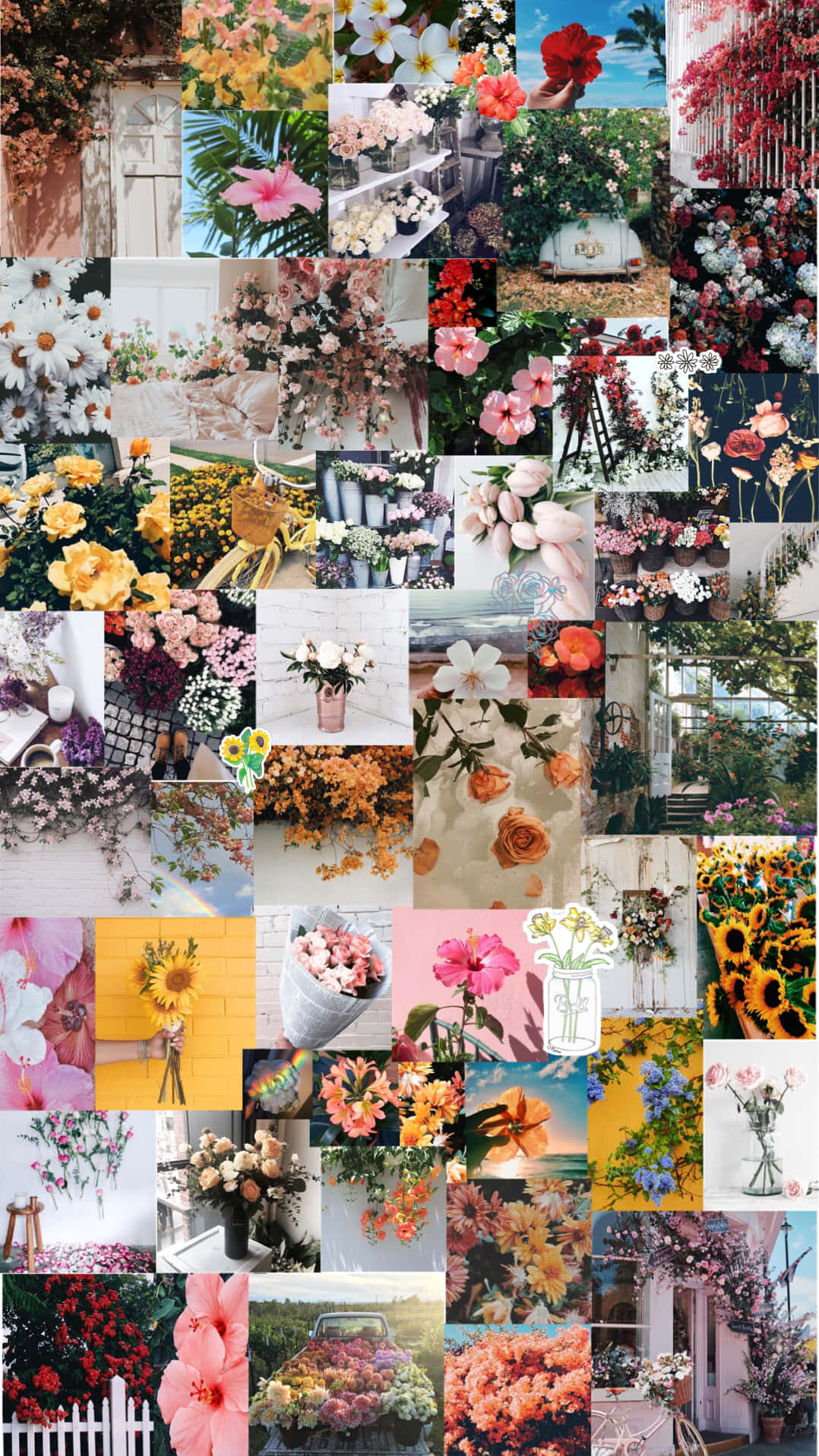 Bring floral charm and character to your smartphone with a vibrant, floral aesthetic Wallpaper