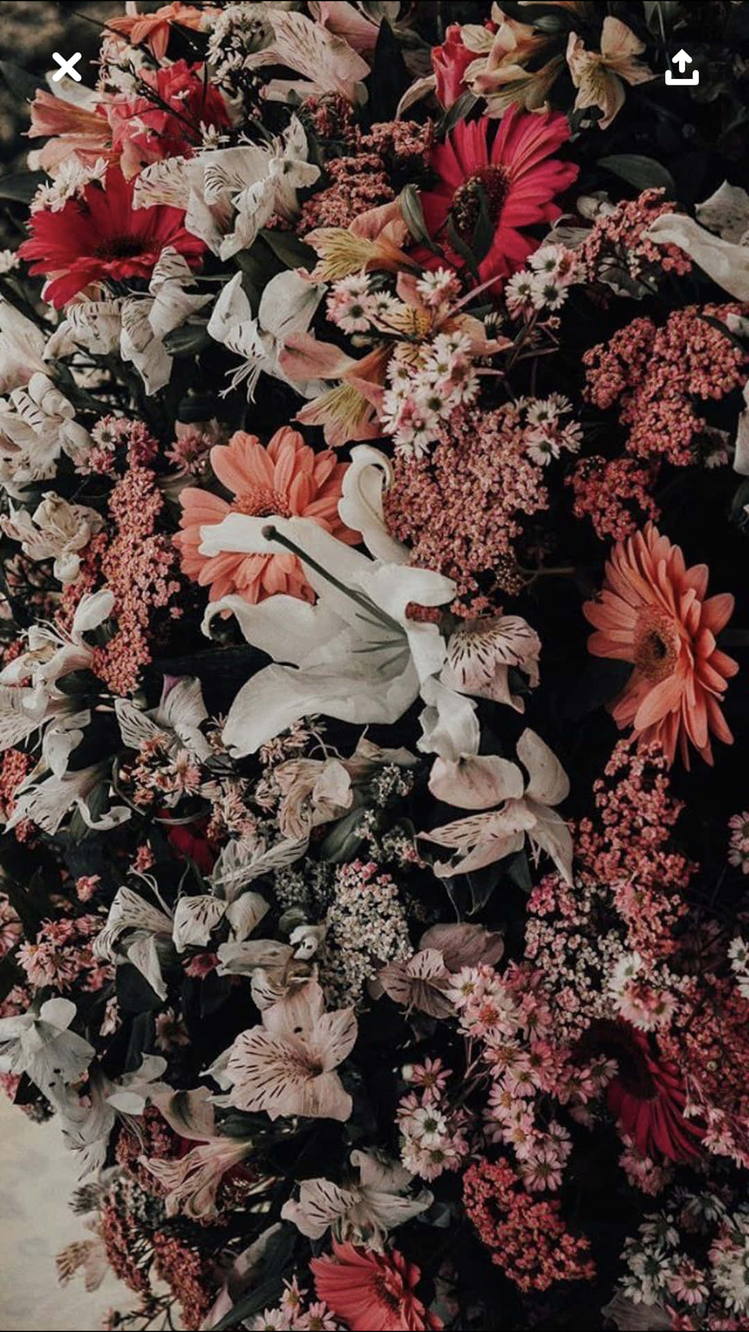 Get Ready For Spring With A Floral Aesthetic Iphone Wallpaper