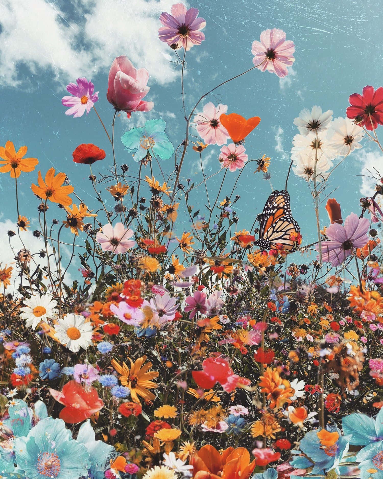 A Colorful Flower Field With Butterflies And Butterflies Wallpaper