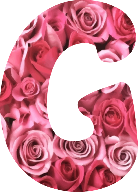 Floral Alphabet G Letter Rose Design PNG