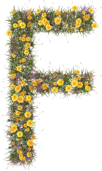 Floral Alphabet Letter F PNG