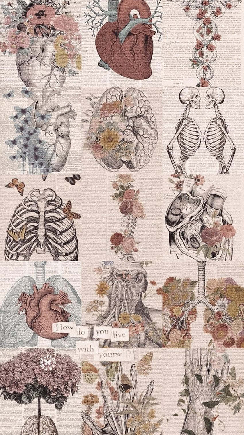 Floral Anatomy Collage_ Artwork Wallpaper