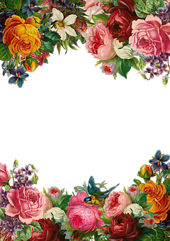 Floral Arch Frame Design PNG