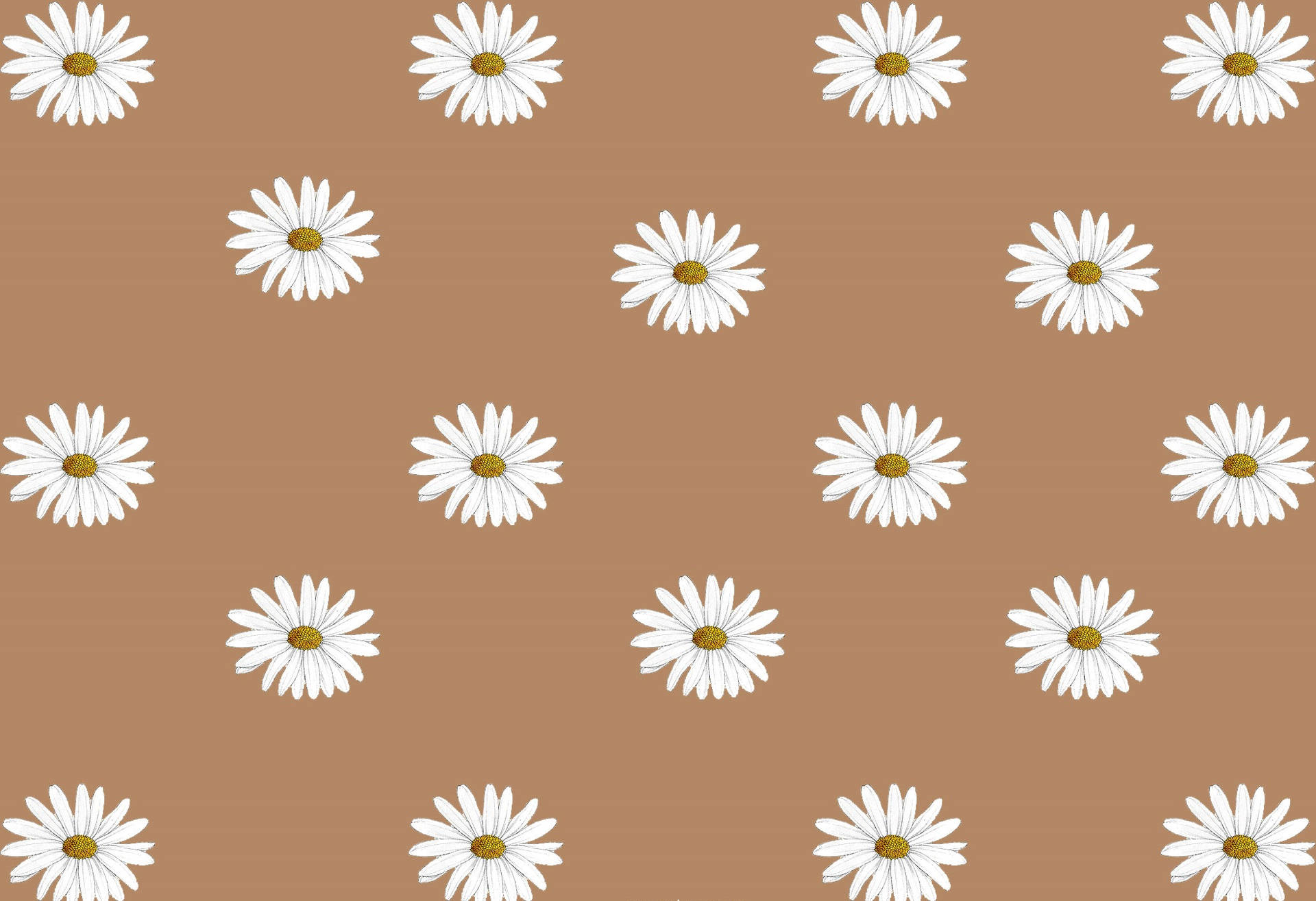 Embrace the Calmness of Floral Beige Brown Aesthetic Wallpaper