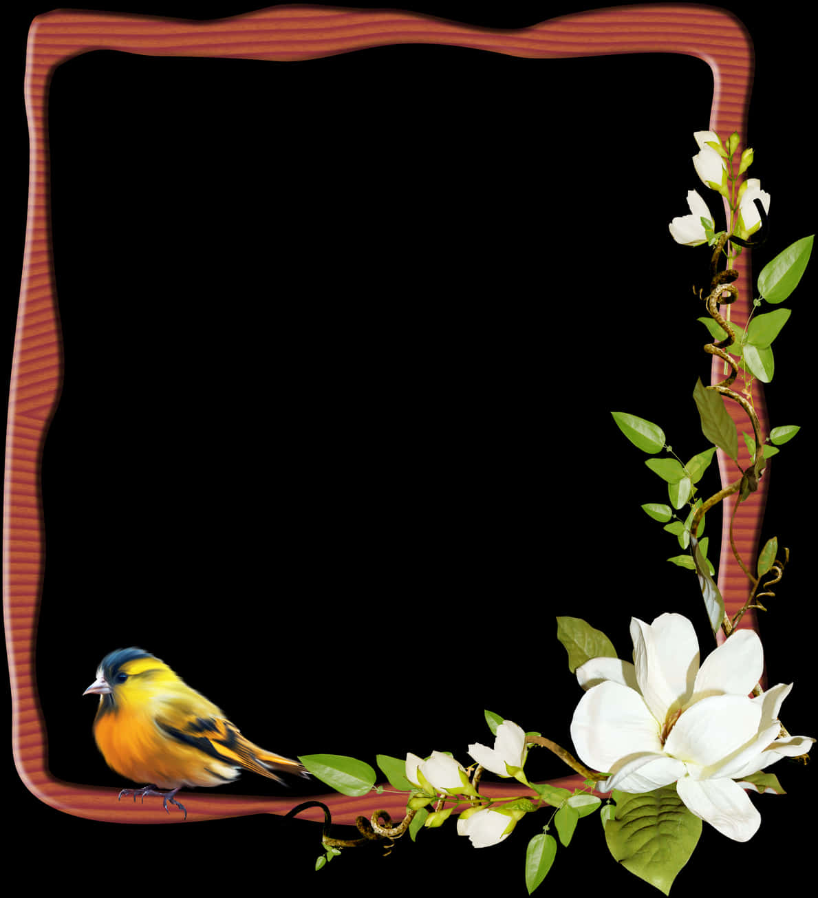 Floral Bird Decorative Photo Frame PNG