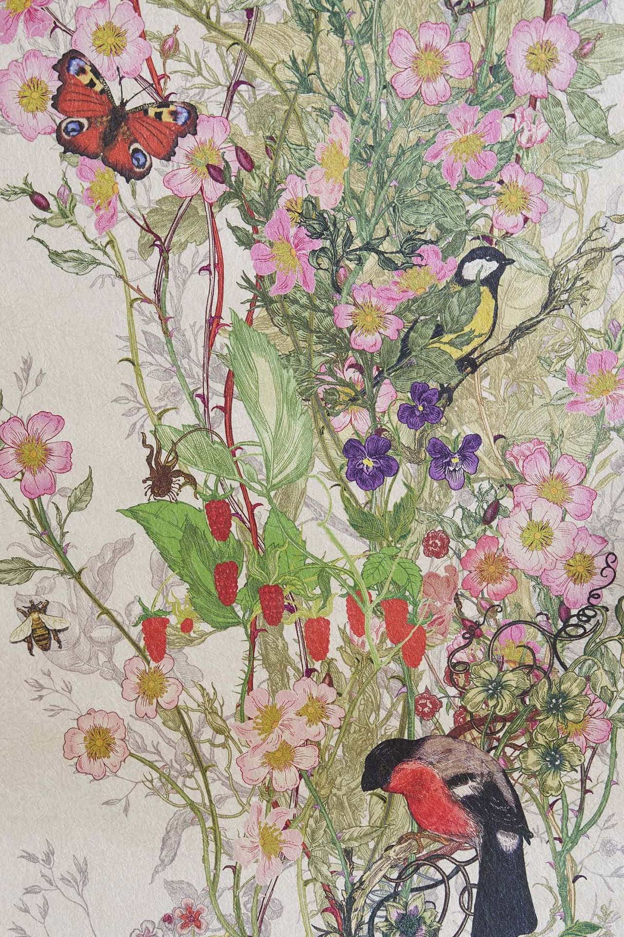 Floral Vogels Vlinder Kunstwerk Achtergrond