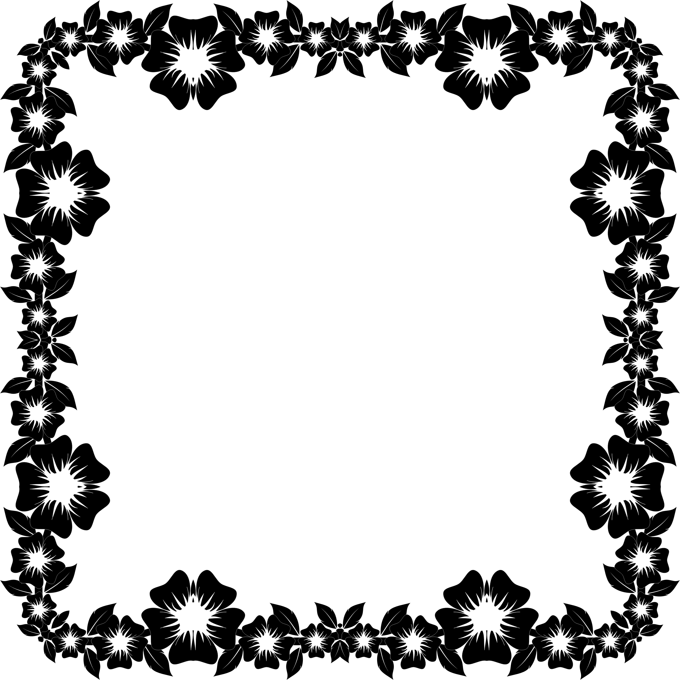 Floral Black Frame Design PNG