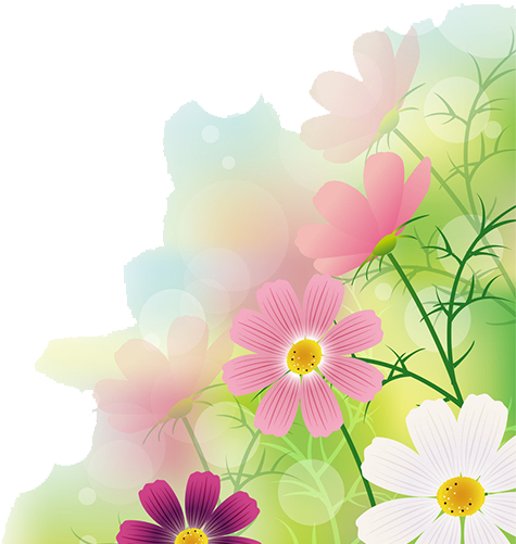 Floral Bokeh Background PNG