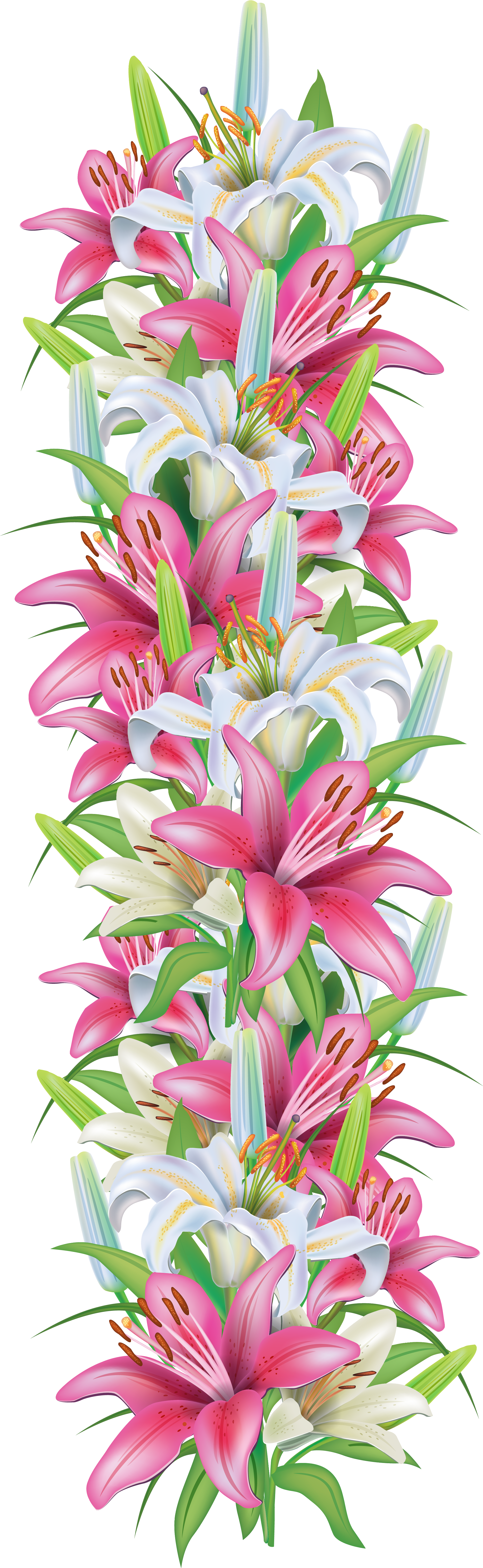 Floral Border Clipart Lilies PNG