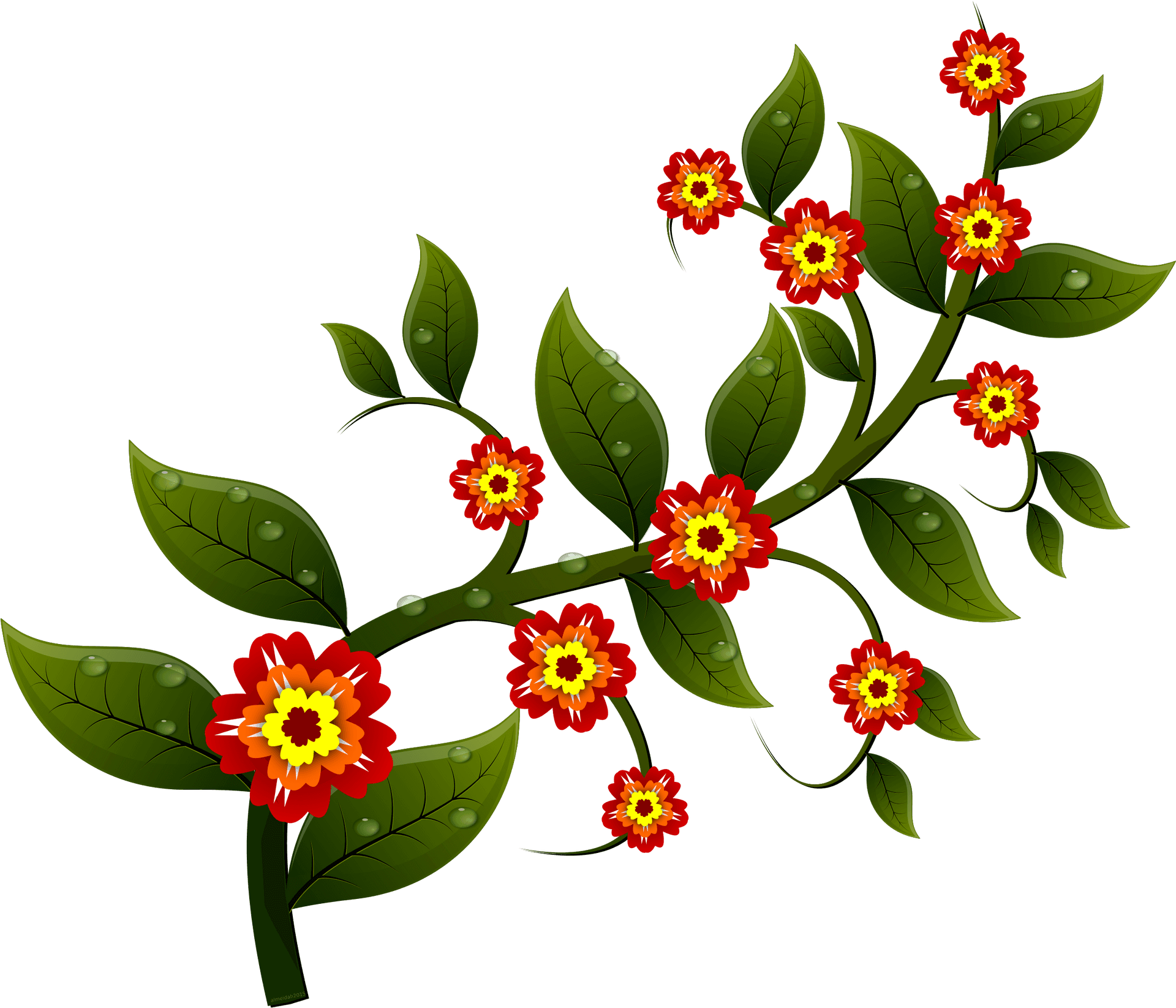 Floral Branch Illustration PNG