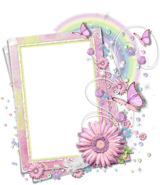 Floral Butterfly Frame P N G PNG