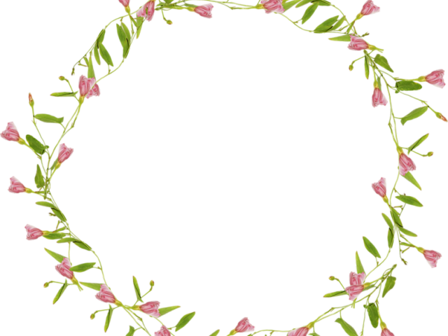 Floral Circle Frame P N G PNG