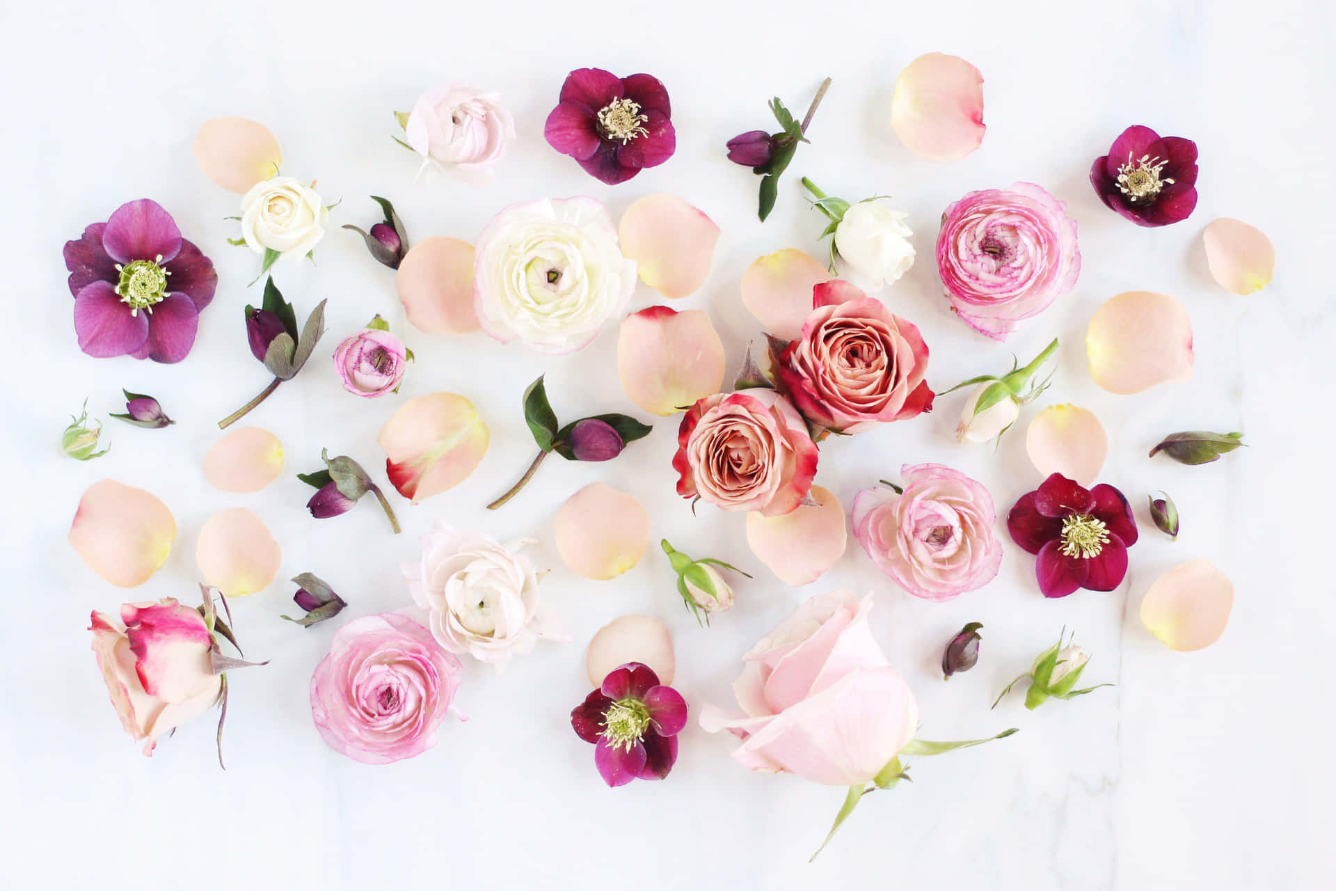 A Bouquet Of Pink And White Flowers On A White Background Wallpaper