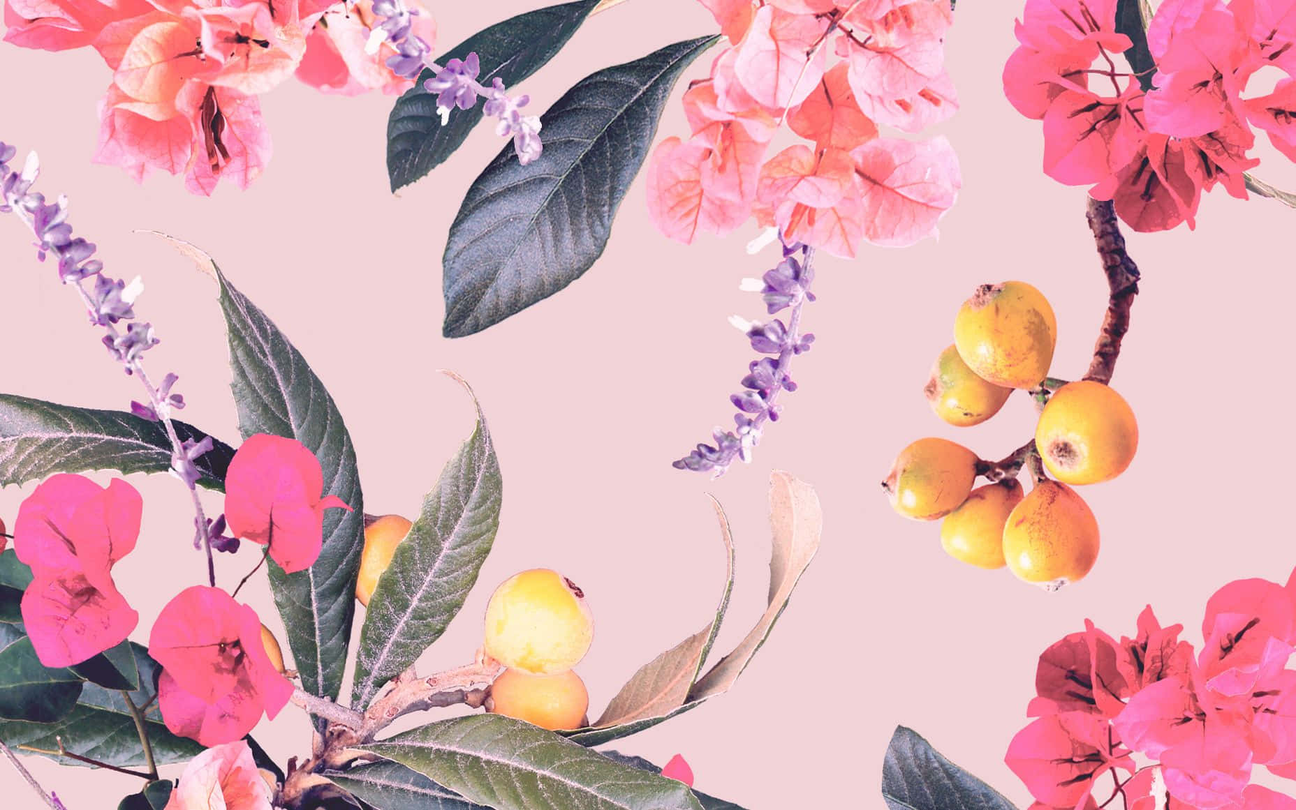 A Pink And Yellow Floral Pattern On A Pink Background Wallpaper