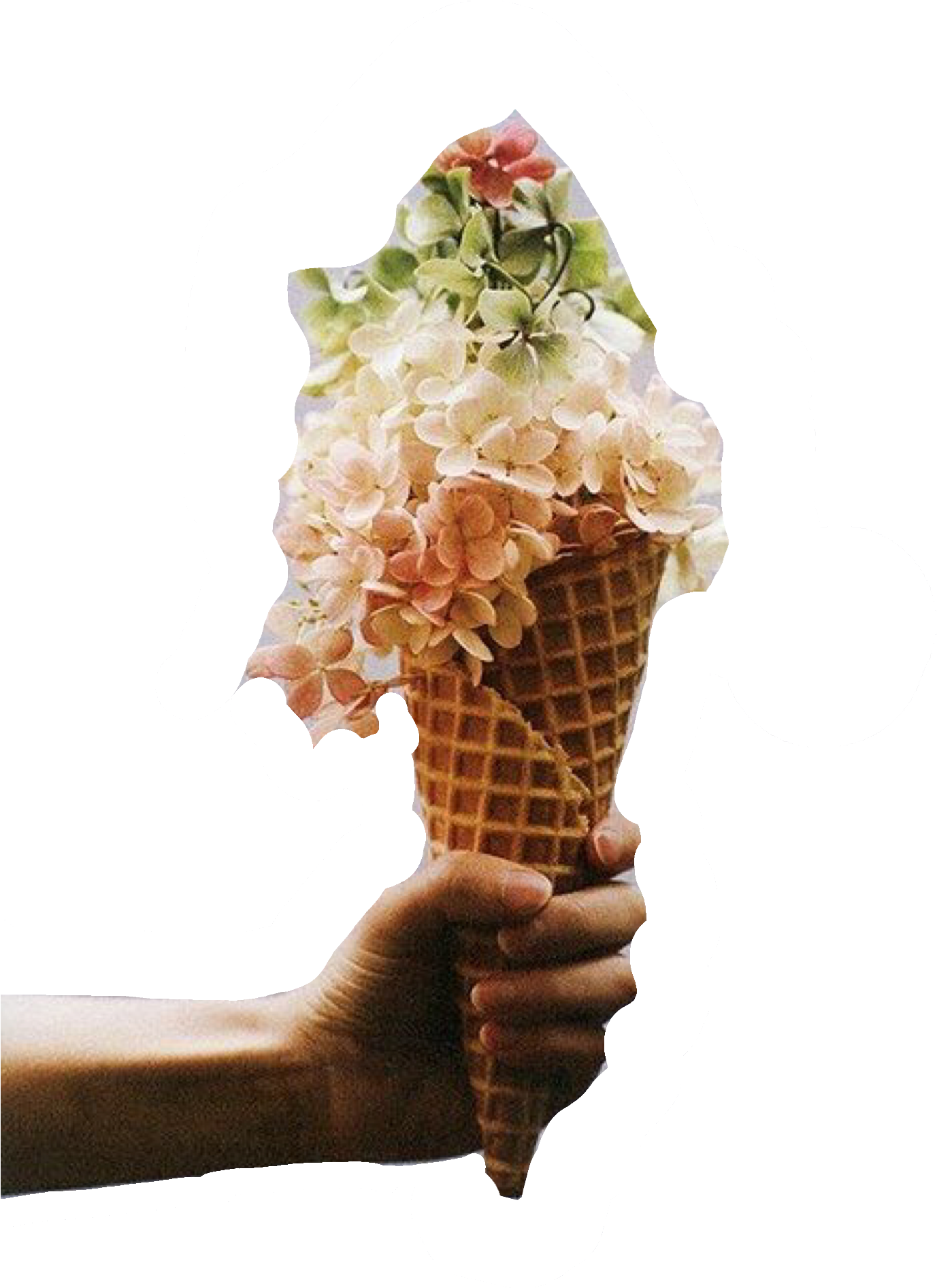 Floral Cone Surrealism.png PNG