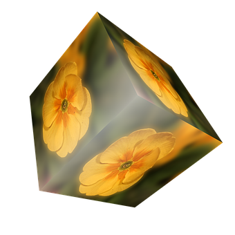 Floral Cube Illusion PNG