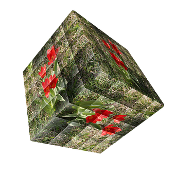 Floral Cube Illusion PNG