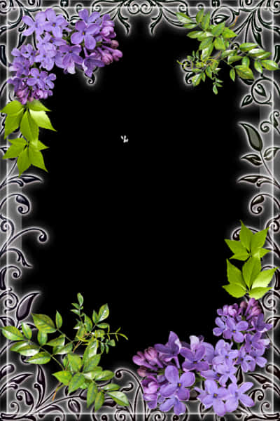 Floral Decorated Black Frame PNG