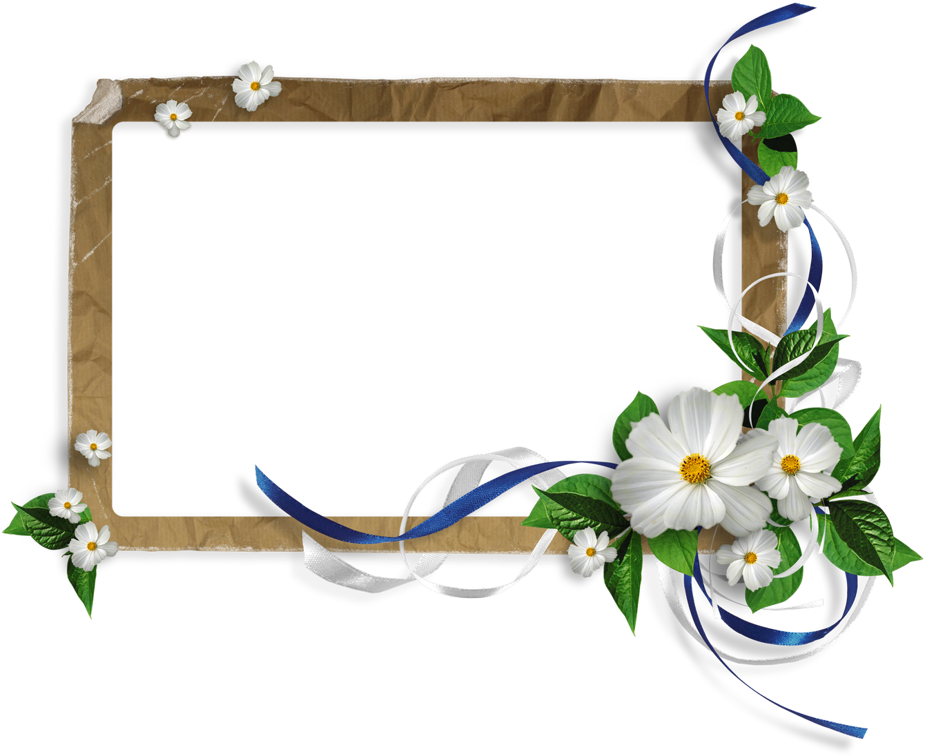 Floral Decorated Frame PNG