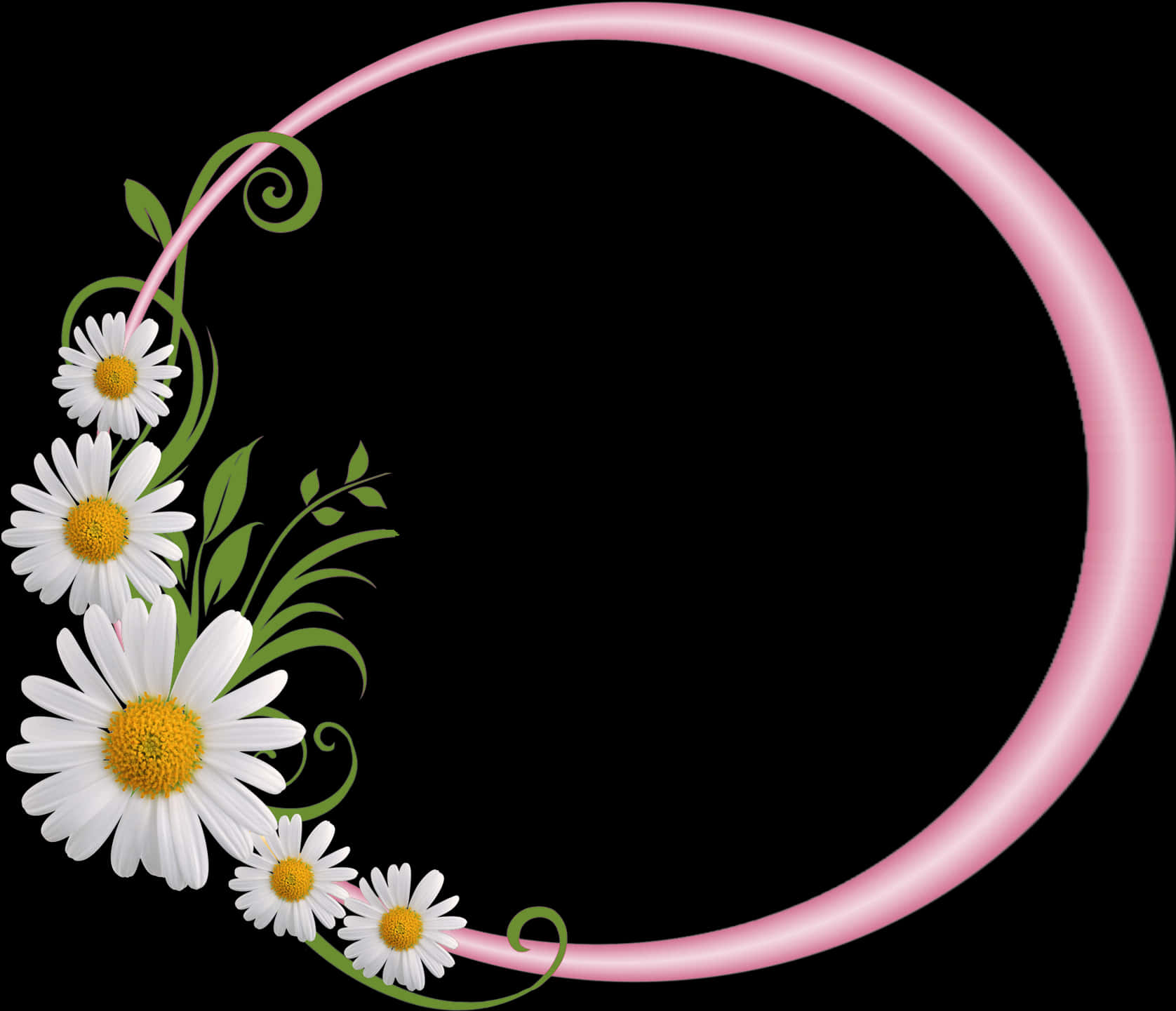 Floral Decorated Round Frame PNG