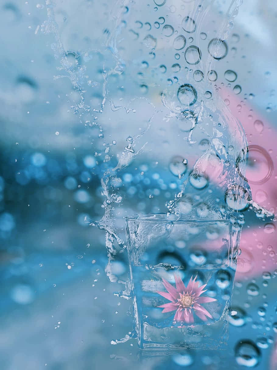 Floral Delicacy In Glass.jpg Wallpaper