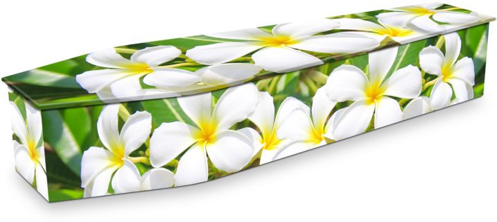 Floral Design Coffin PNG