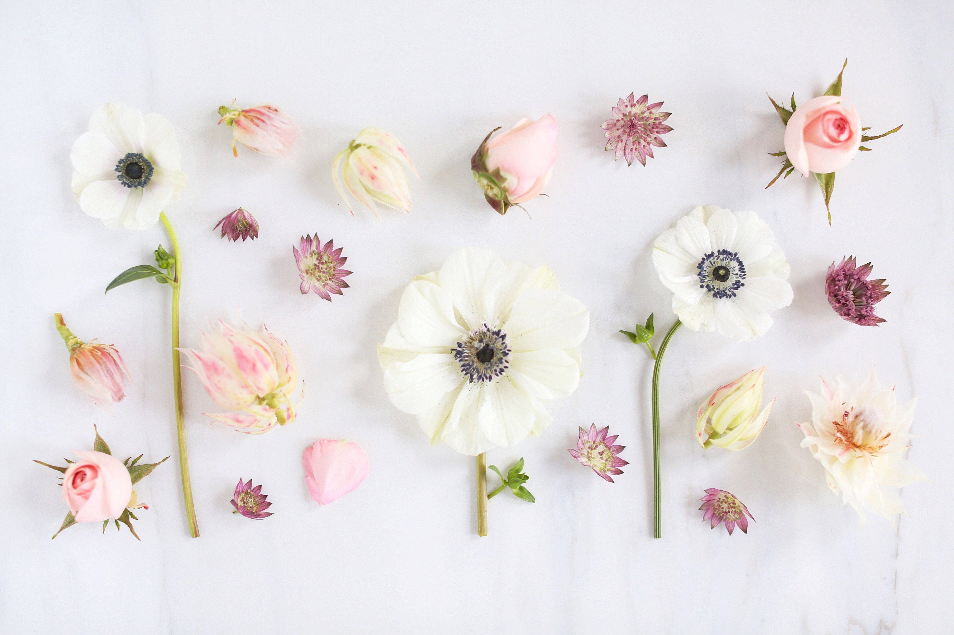 Floral Desktop With Various Flowers Background